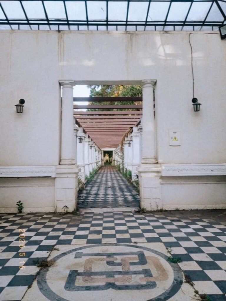 Registro da trajetória de Júlia Ramalho